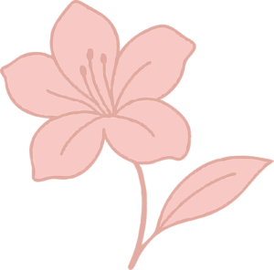 Minimal pink jindallae flower illustration used in Jeongsang-Mi branding